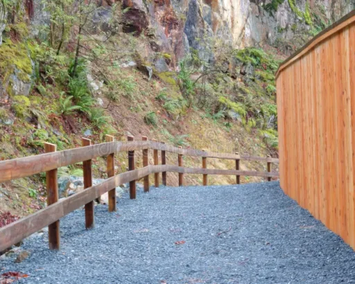cedar-fencing-walkway-pathway-examples-beautiful-cedar-fencing-lining-walkway-post-solid-board-134643741